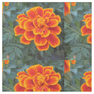 Oranje Marigold Stof