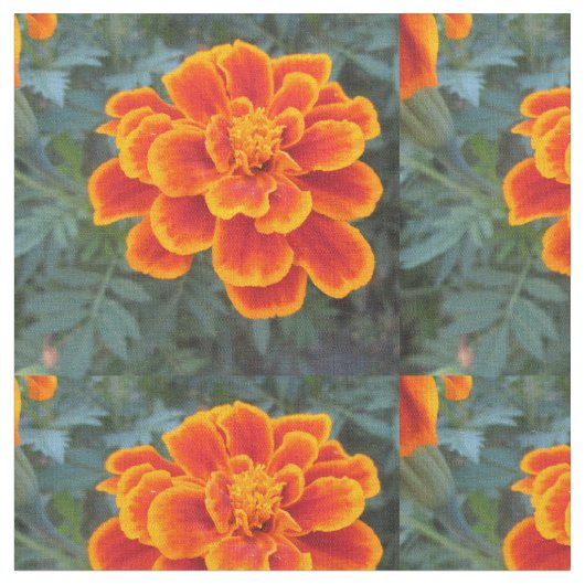  Oranje Marigold Stof (Close Up)