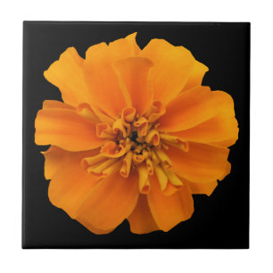 Oranje marigold ventilator op zwart tegeltje