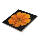 Oranje marigold ventilator op zwart tegeltje (Zijkant)