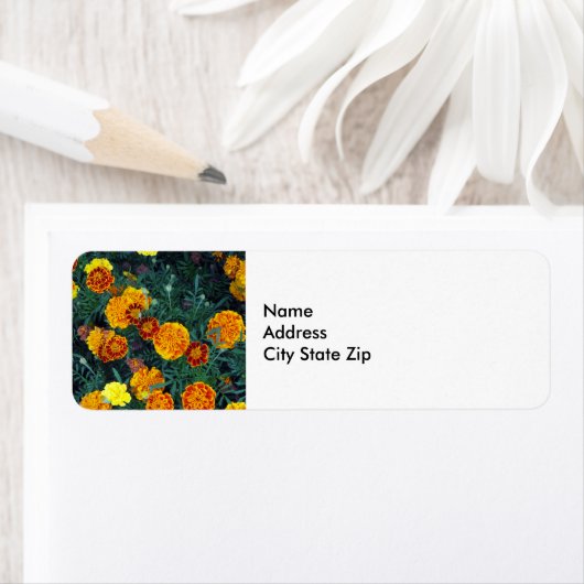  Oranje Marigolds Floral Foto Etiket (Insitu)