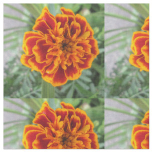 Oranje marigoldventiel stof