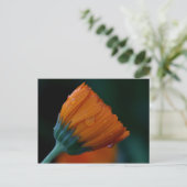 oranje marigolet briefkaart (Staand voorkant)