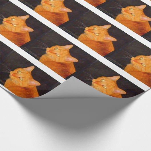 Oranje marmelade cadeaupapier (Hoek)