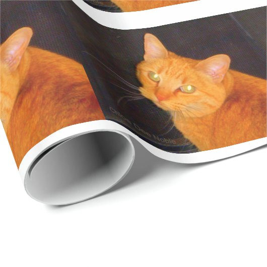 Oranje marmelade cadeaupapier (Rol Hoek)