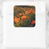 Oranje Mexicaanse gouden papavers bloeien in het v Vierkante Sticker (Tas)