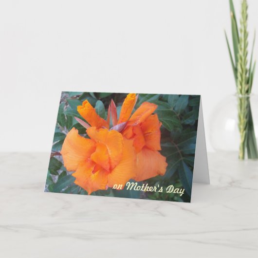 ORANJE Moederdag Kaart (Voorkant)