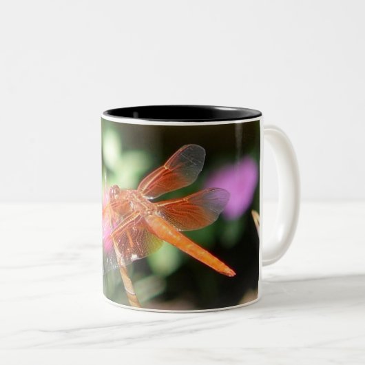 Oranje Mok Dragonfly (Voorkant rechts)