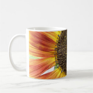 Oranje Mok zonnebloem