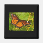 Oranje monarch magneet (Voorkant)