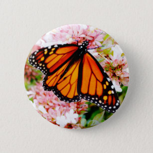 Oranje Monarch op roze bloemen Ronde Button 5,7 Cm