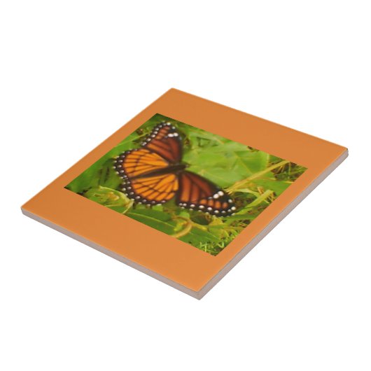 Oranje monarch tegeltje (Zijkant)