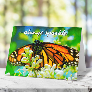 Oranje Monarch Vlinder Foto Altijd Glanzen Kaart