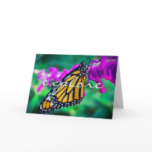 Oranje monarch vlinder verkennen script modern