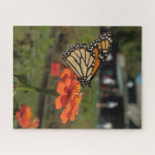Oranje monarchvlinder tijdens Kaapse meitrek Legpuzzel (Horizontaal)