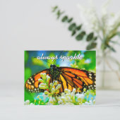 Oranje monboogvlinder altijd briefkaart (Staand voorkant)