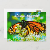 Oranje monboogvlinder altijd briefkaart (Voorkant / Achterkant)
