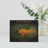 Oranje Montbretia-ventilator Briefkaart (Staand voorkant)