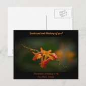 Oranje Montbretia-ventilator Briefkaart (Voorkant / Achterkant)