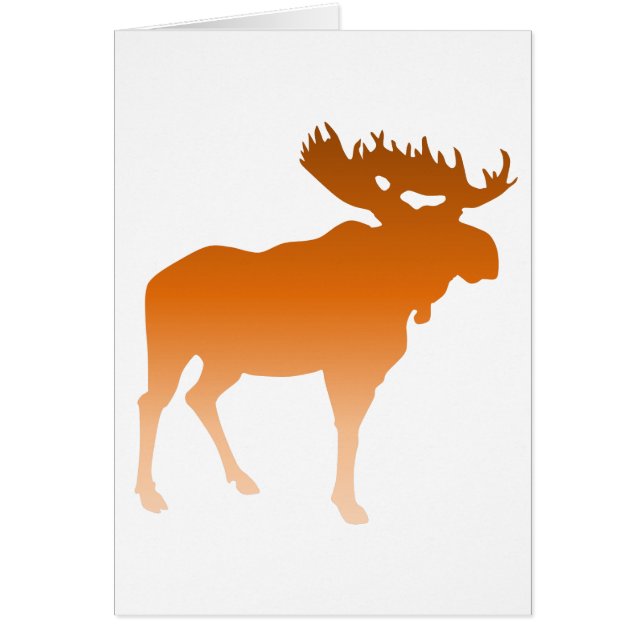 Oranje Moose (Voorkant)