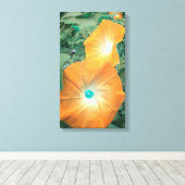 Oranje Morning Glories Wrapped Canvas (Insitu (Houten vloer))