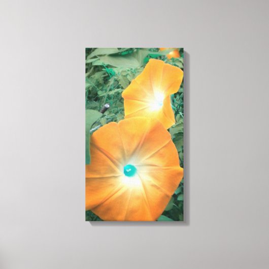 Oranje Morning Glories Wrapped Canvas Afdruk (Voorkant)