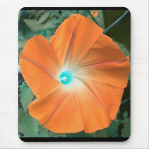 Oranje Morning Glory Muismat