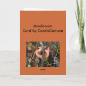 Oranje Mushroom OBX Notecard Feestdagen Kaart (Achterkant)