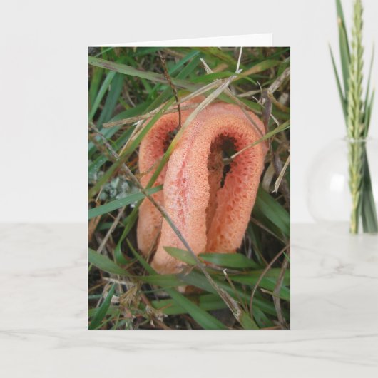Oranje Mushroom OBX Notecard Feestdagen Kaart (Voorkant)