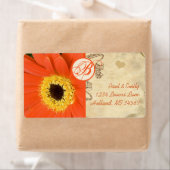 Oranje Musical Gerber Daisy Gray Musical Notes Etiket (Insitu)