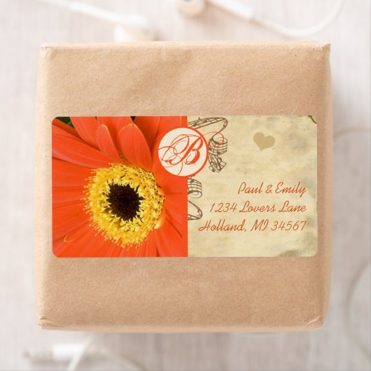 Oranje Musical Gerber Daisy Gray Musical Notes Etiket (Insitu)