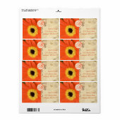Oranje Musical Gerber Daisy Gray Musical Notes Etiket (Full Sheet)