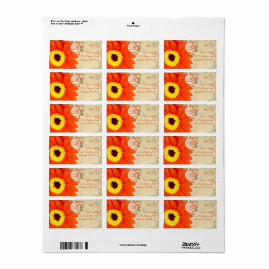 Oranje Musical Gerber Daisy Gray Musical Notes Etiket (Full Sheet)