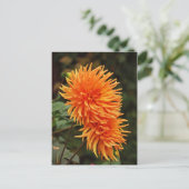 Oranje najaar dahlia briefkaart bloemen (Staand voorkant)