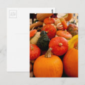 Oranje najaar pompoenen briefkaart (Voorkant / Achterkant)