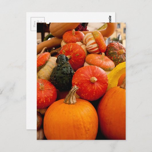 Oranje najaar pompoenen briefkaart (Voorkant / Achterkant)