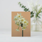 Oranje Narcissus Briefkaart (Staand voorkant)