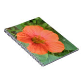 Oranje Nasturtium Bloem Notitieboek (Rechterzijde)