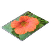 Oranje Nasturtium Bloem Notitieboek (Linkerzijde)