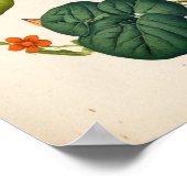 Oranje Nasturtium  Botanische wandkunst Poster (Hoek)