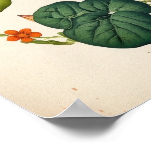 Oranje Nasturtium  Botanische wandkunst Poster (Hoek)