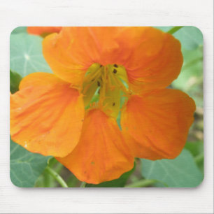 Oranje Nasturtium Flower Mousepad Muismat