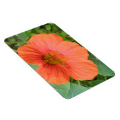 Oranje Nasturtium Flower Premium Magnet Magneet (Rechterzijde)