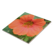 Oranje Nasturtium Flower Tegel Tegeltje (Zijkant)