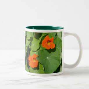 Oranje Nasturtium Mok