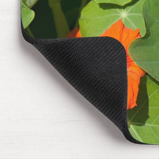 Oranje Nasturtium Muismat (Hoek)