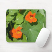 Oranje Nasturtium Muismat (Met muis)
