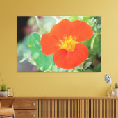 Oranje Nasturtiumbloei Canvas Afdruk (Insitu (Woonkamer))