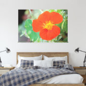 Oranje Nasturtiumbloei Canvas Afdruk (Insitu (Slaapkamer))