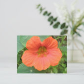 Oranje Nasturtiumventiel Briefkaart (Staand voorkant)